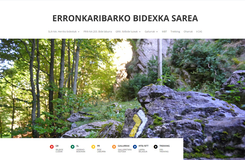 Erronkariko bidexka sarea